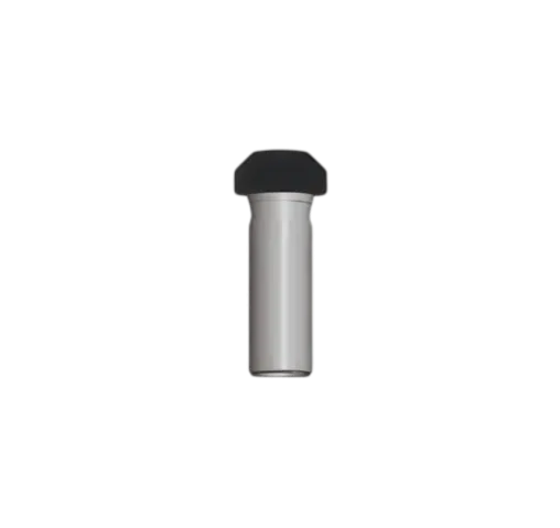 Check Valve
